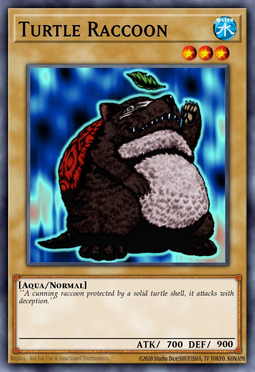 Turtle Raccoon