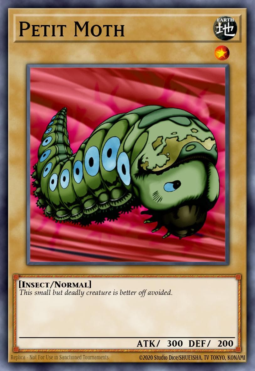 Petit Moth