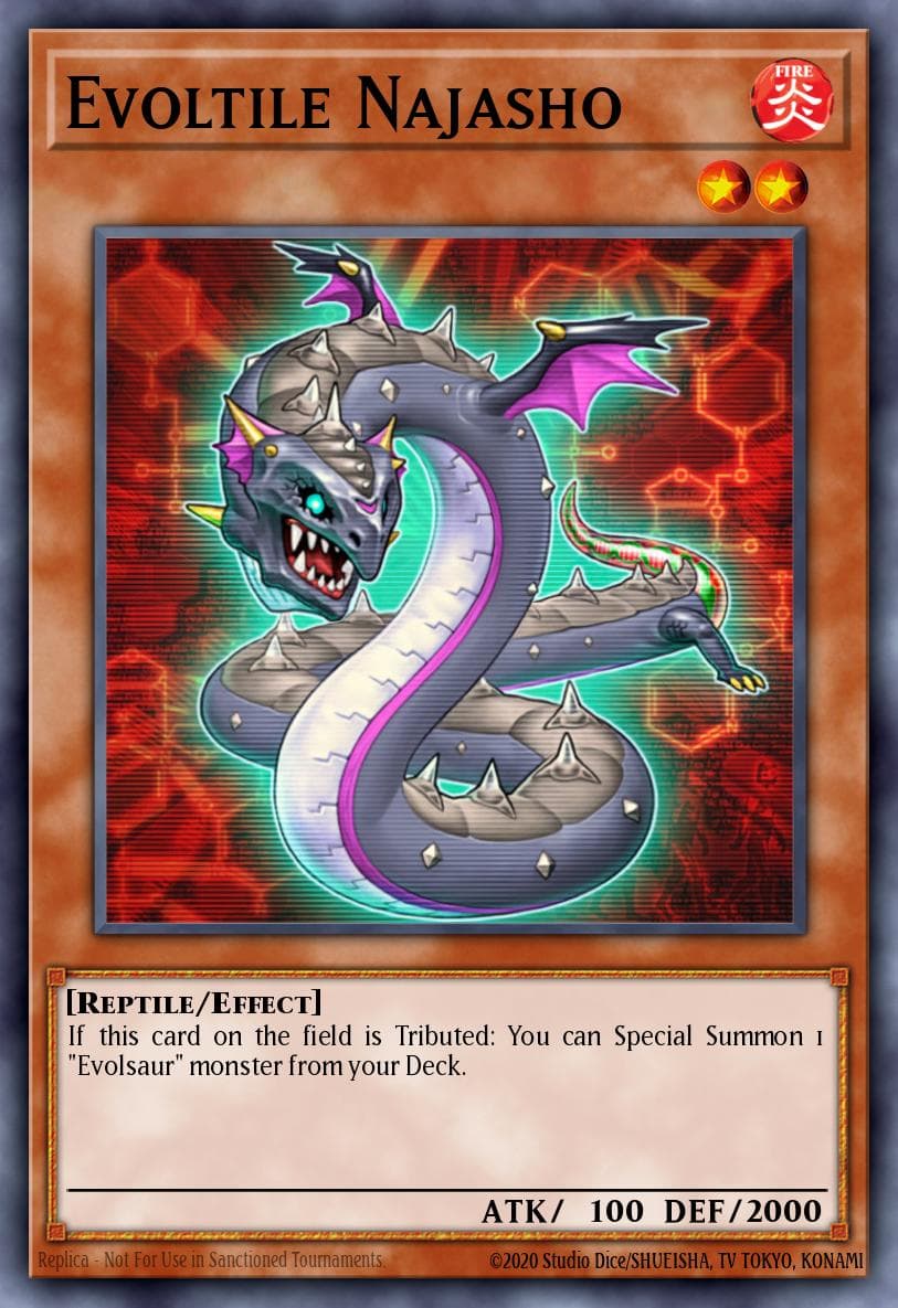 Evoltile Najasho