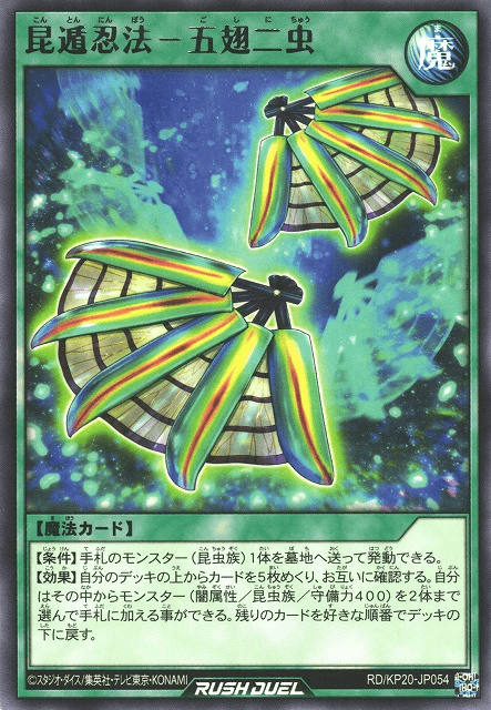 Evasive Chaos Ninjutsu Art of Goshinichu