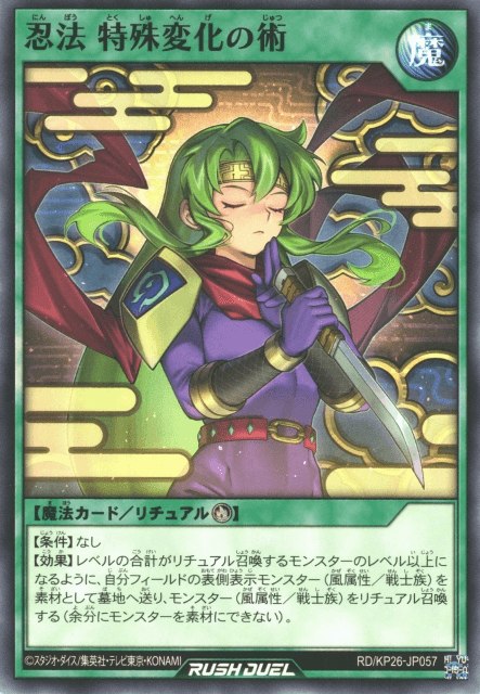Ninjitsu Art of Special Transformation