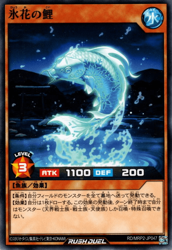 Koi of Winter Wonder