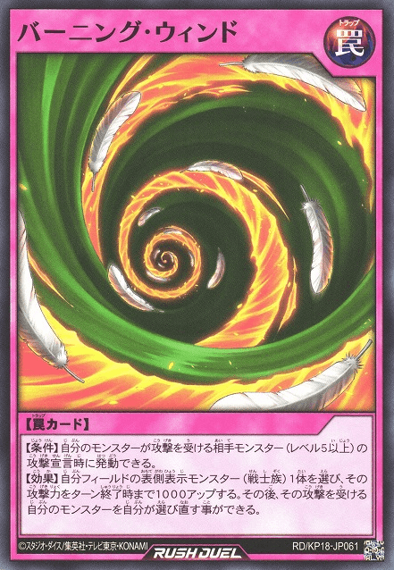 Burning Wind
