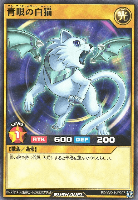 Blue-Eyes White Cat