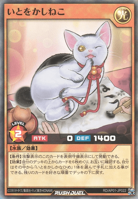 Grace Cat