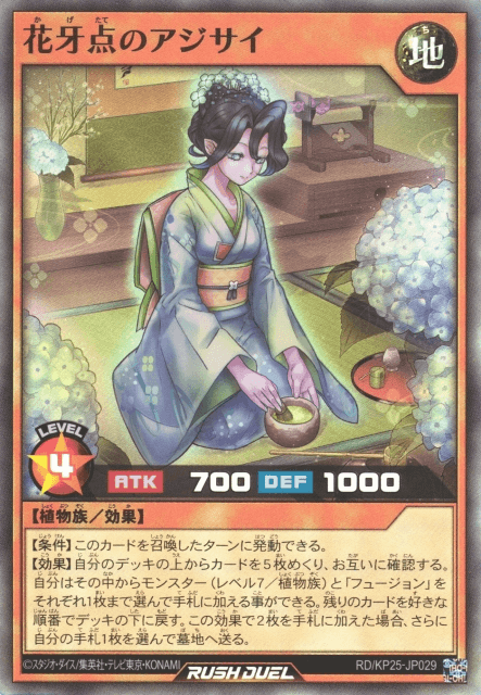 Hydrangea the Shadow Flower Tea Master