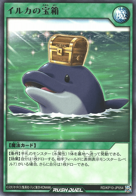 Dolphin's Treasure Chest