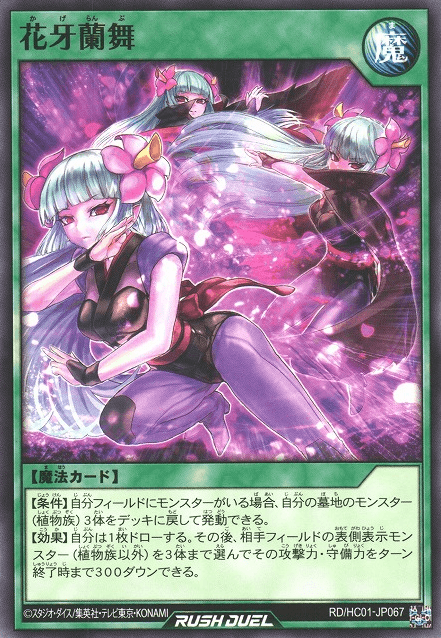Shadow Flower Dance
