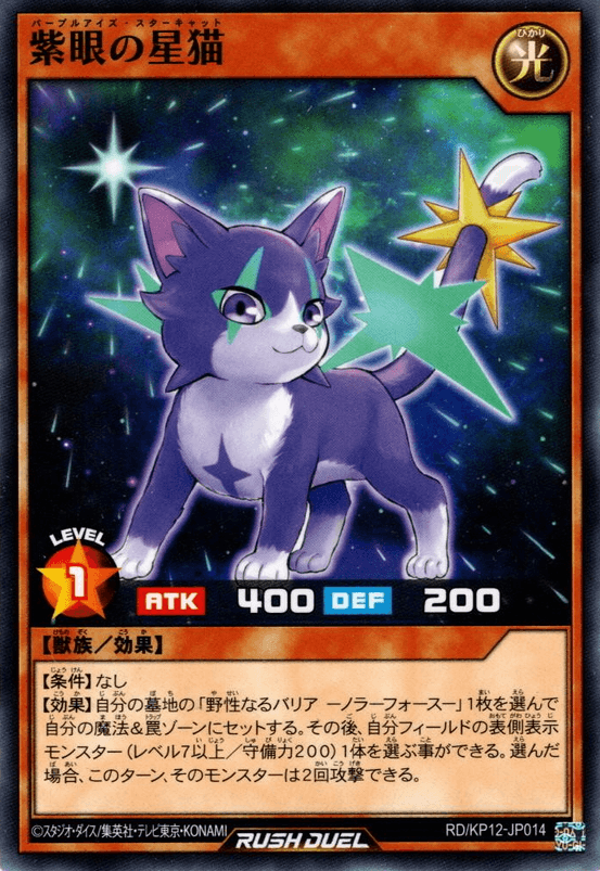 Purple-Eyes Star Cat