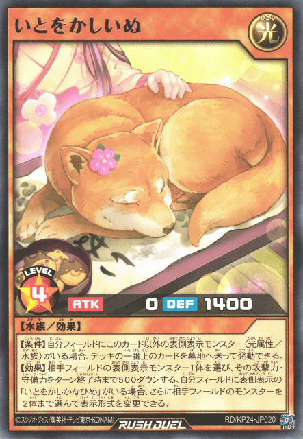 Grace Dog