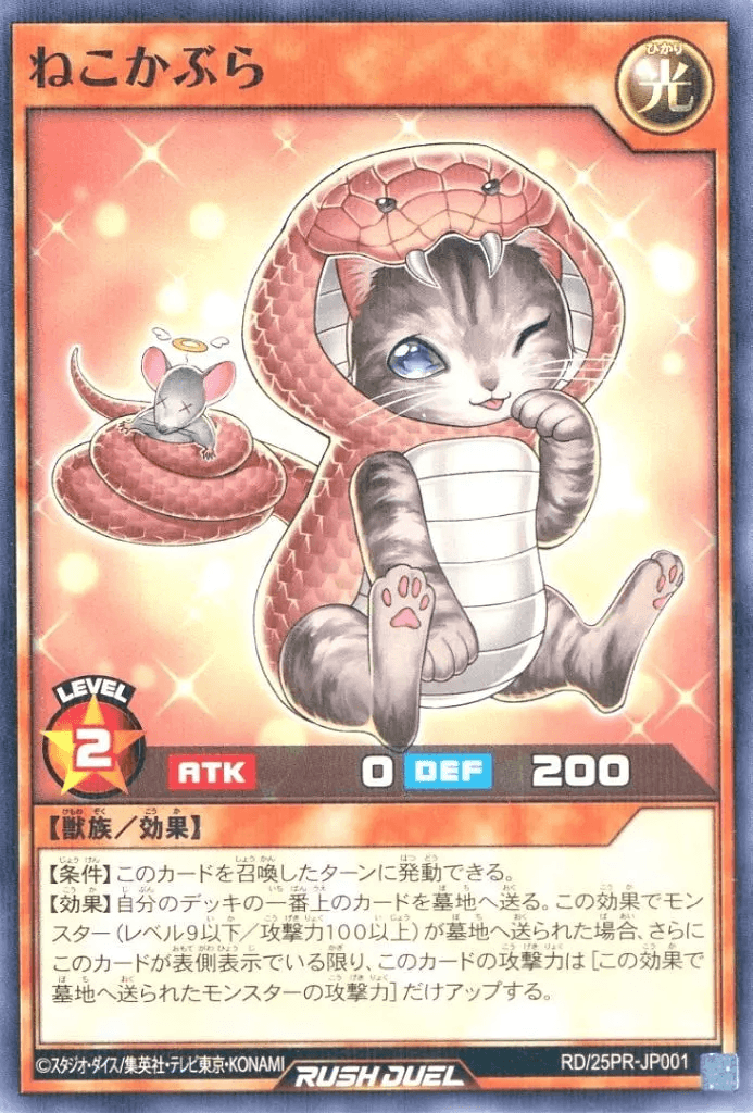 Cat in Cobra's Clothing
