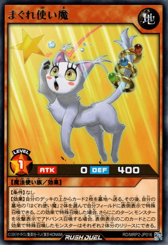 Furtunate Cat