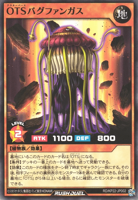 OuTerverSe Bug Fungus