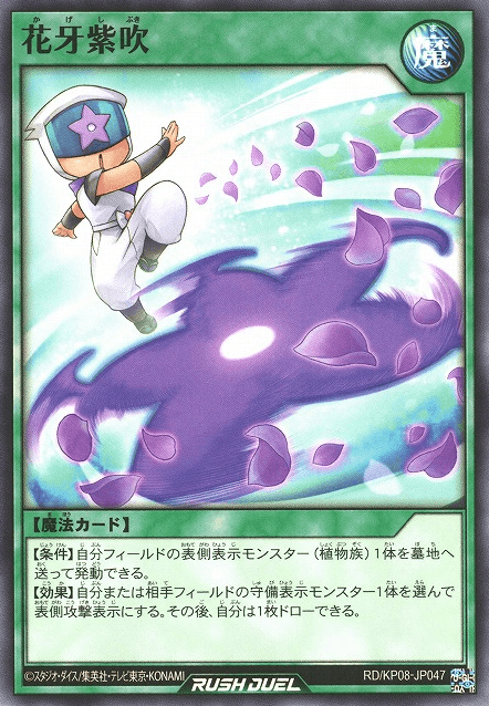 Shadow Flower Flurry