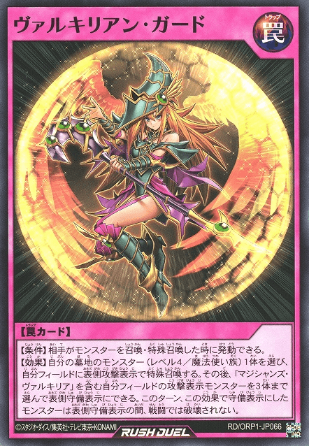 Valkyrian Guard