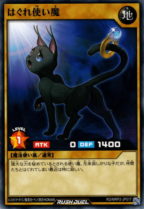 Straynge Cat