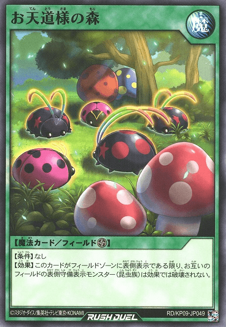 Sunny Forest