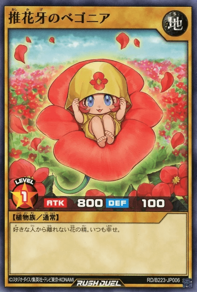 Begonia the Supportive Shadow Flower