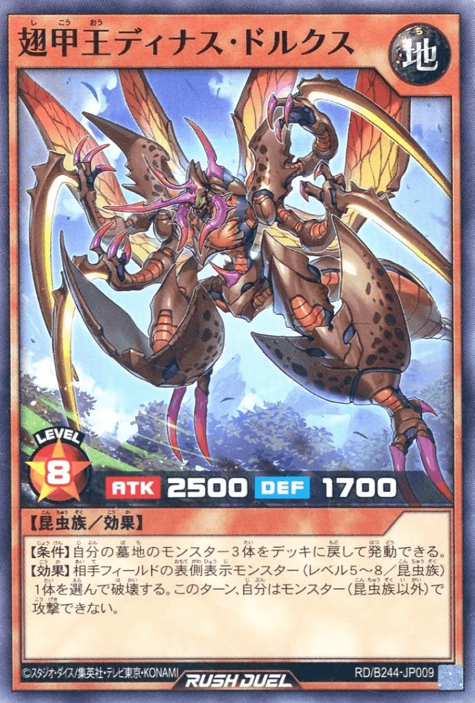 Dynas Dorcus the Beetle King