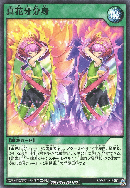 True Shadow Flower Clone