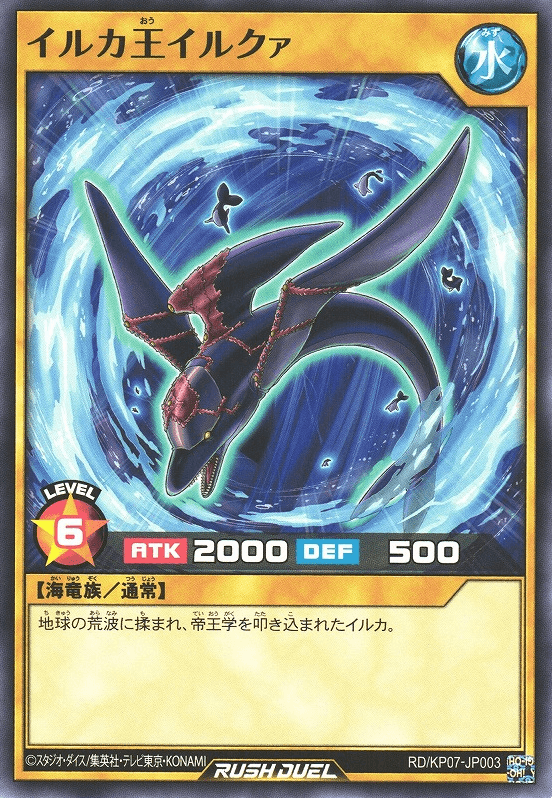 Dolphin King Iruqua