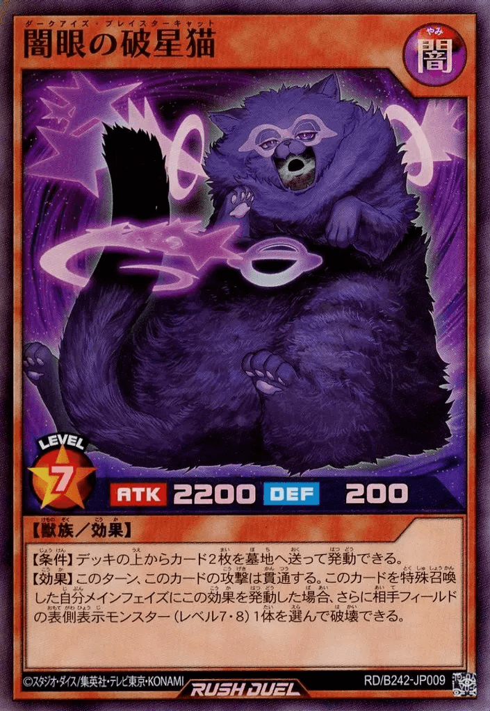 Dark-Eyes Breakstar Cat