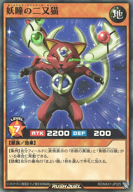 Odd-Eyes Twin Tail Cat