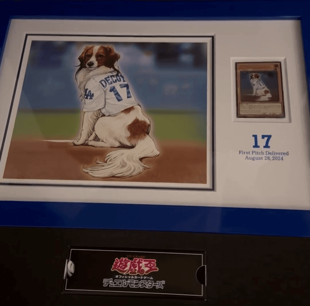 Gift for Shohei Ohtani cover