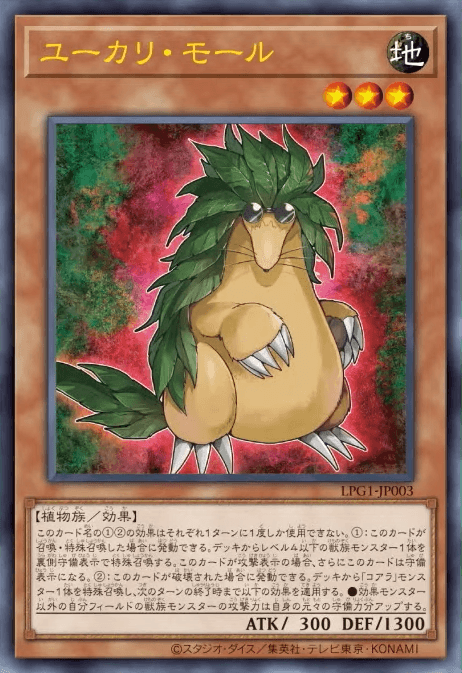 Eucalyptus Mole