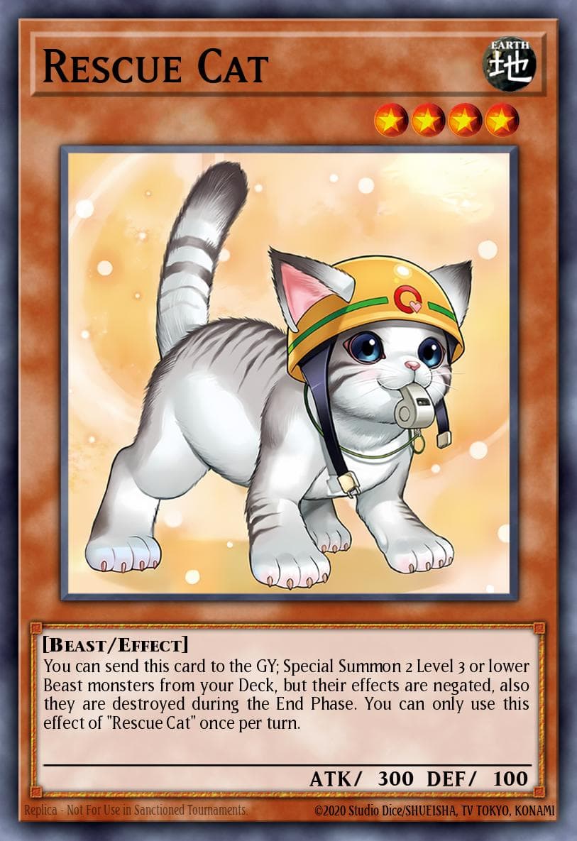 Rescue Cat — artwork 2 of 2