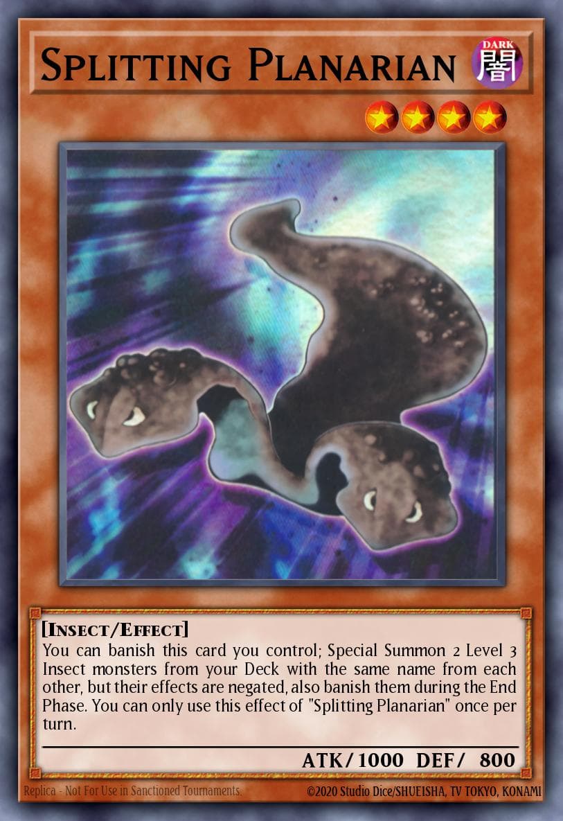 Splitting Planarian — artwork 2 of 2