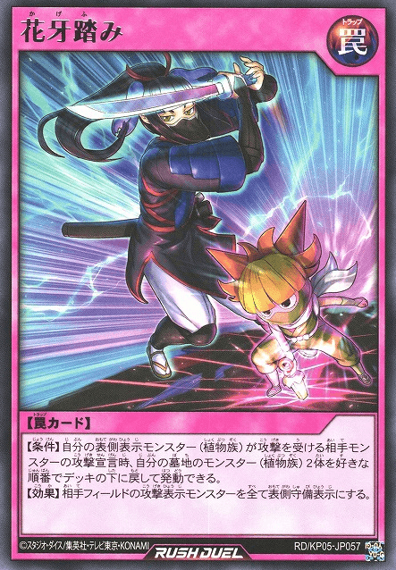 Shadow Flower Stance