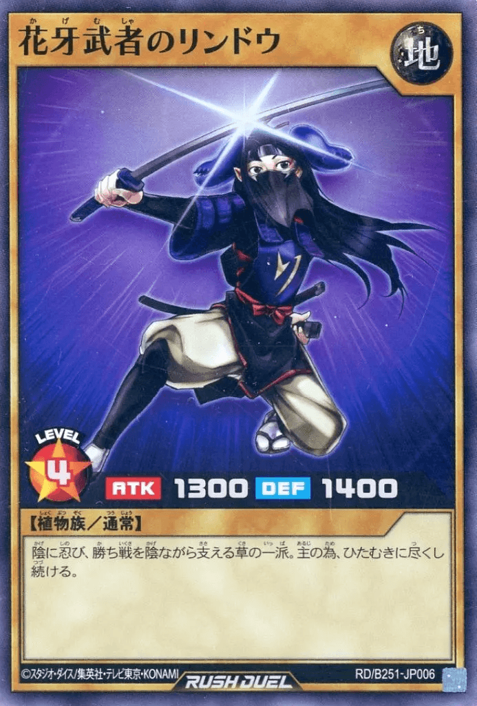 Lindo the Shadow Flower Warrior