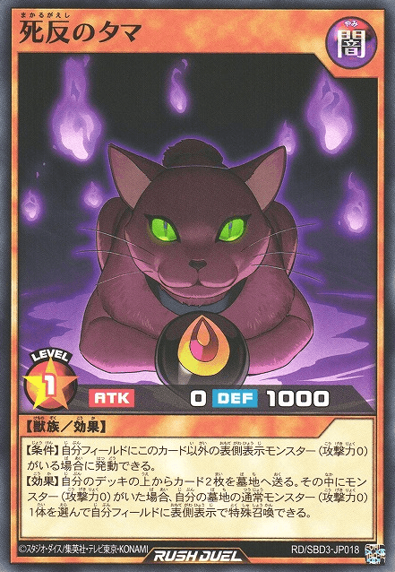 Tama the Mancer Cat