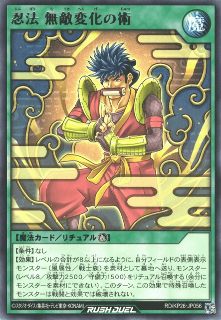 Ninjitsu Art of Ultimate Transformation