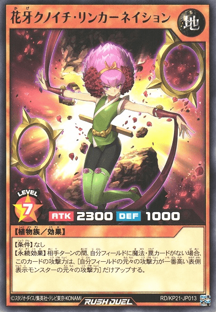 Rincarnation the Shadow Flower Ninja
