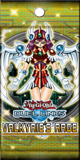 Valkyrie's Rage cover